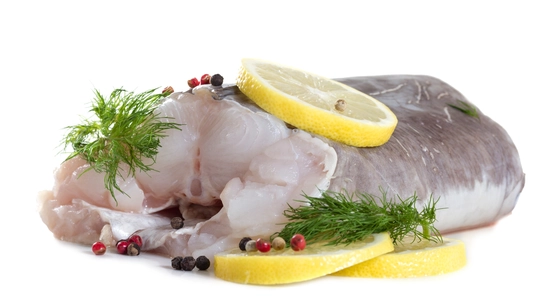 Shutterstock 221049349 Congereel