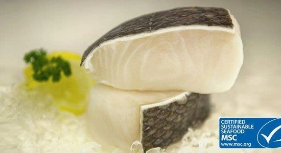 Toothfish Portions