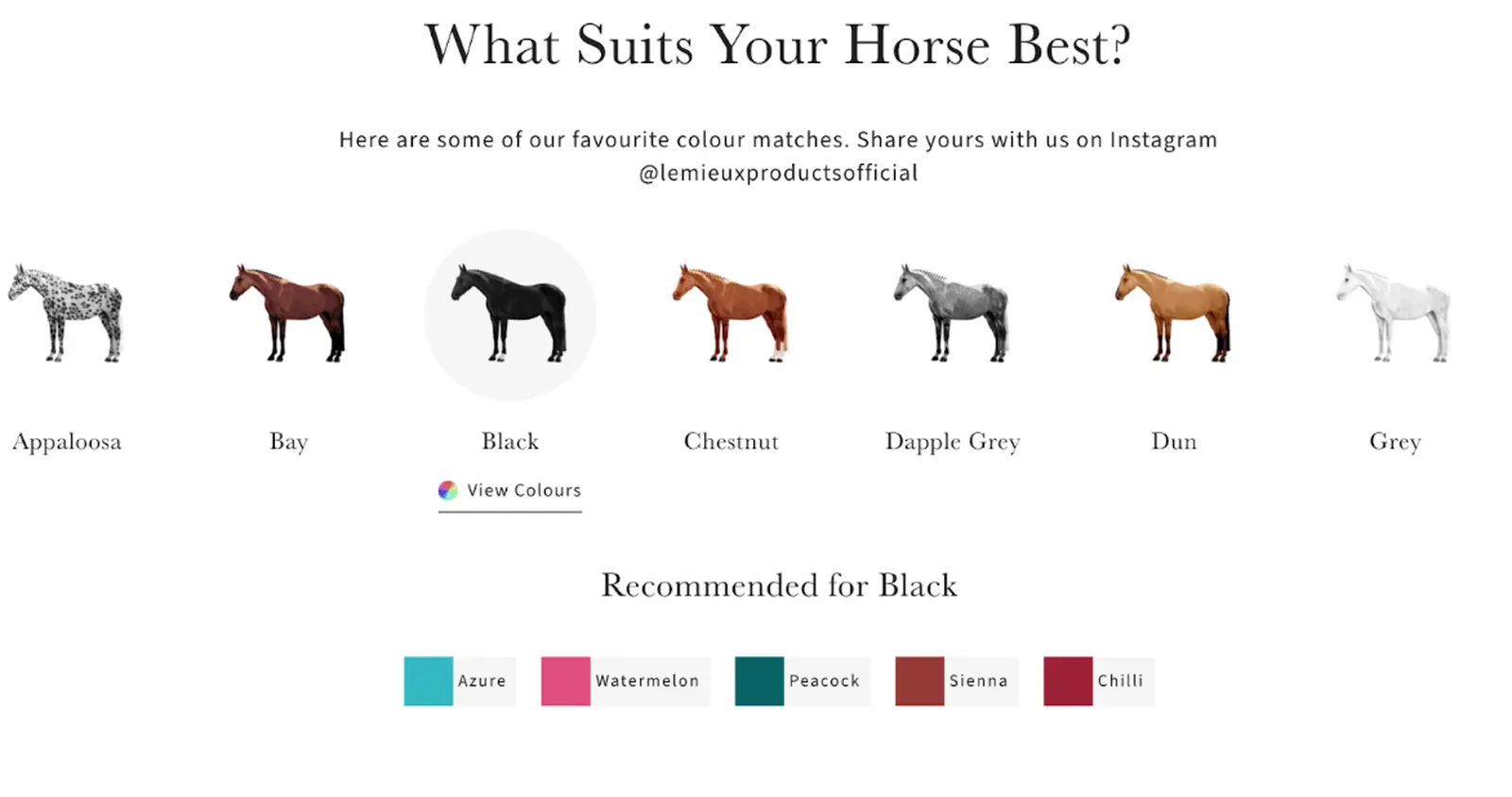 LeMieux colour recommendations by horse coat colour