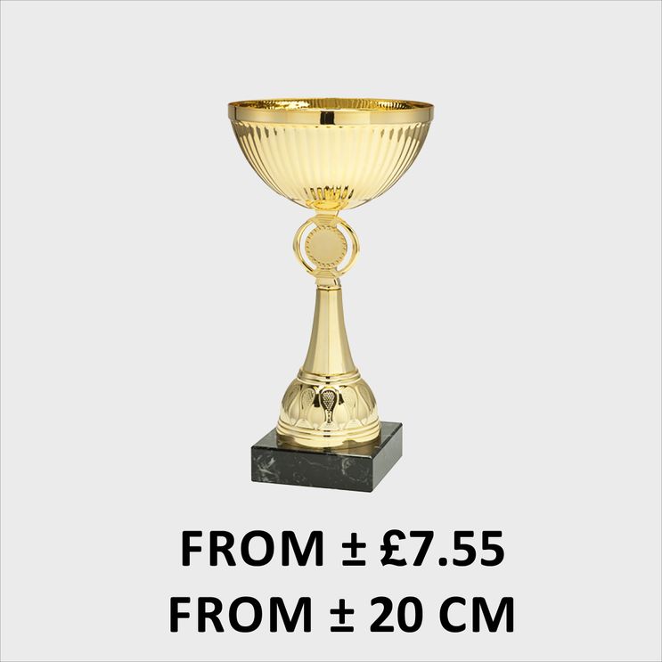 Medium Trophies