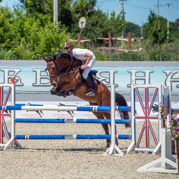 De betekenis achter de kleuren van rozetten
