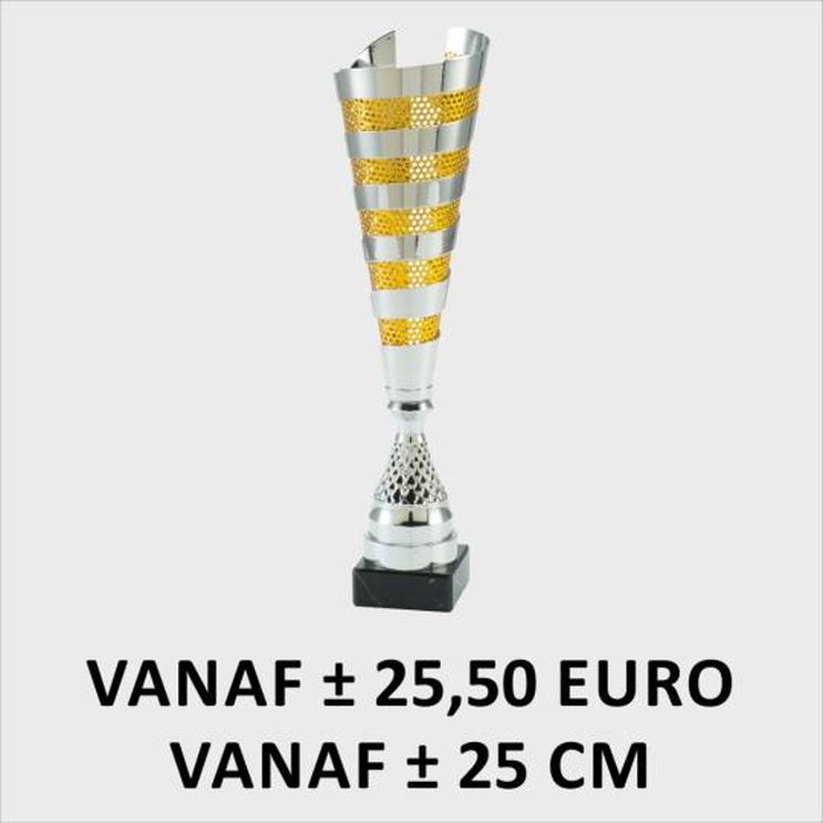 Grote sportbekers