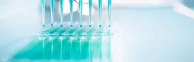 Close-up of a multi-channel pipette dispensing liquid into a microplate, illustrating high-throughput PCR and qPCR sample preparation in a molecular biology laboratory