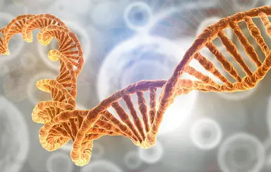 Illustration of a DNA double helix with molecular structures in the background, representing molecular biology and genetic research.