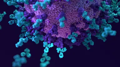 Find solutions tailored to clinical diagnostics, translational research, biopharmaceutical development and agricultural genomics.