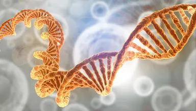 Supporting molecular biology, genomics research and assay development workflows.