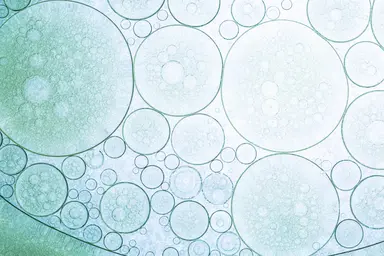 Abstract pattern of translucent circular droplets in varying sizes on a light blue and green background.
