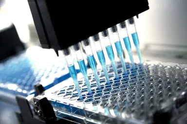 Accurate genotyping for breeding programmes.