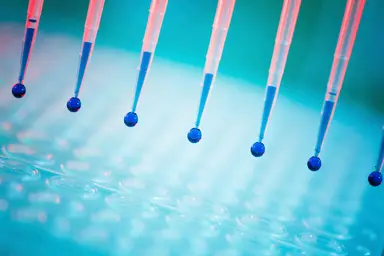 Automated liquid handling over a microplate during immunoassay development and assay performance testing.