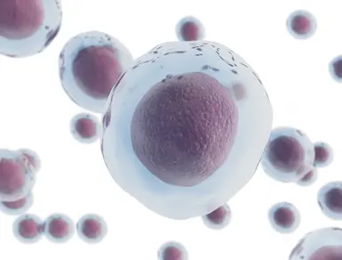 Scientific illustration of biological cells, representing virology research, infectious disease studies and diagnostic assay development.