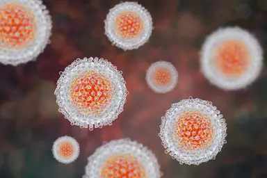 Virus-like particles supporting diagnostic assay development, vaccine research and infectious disease research.