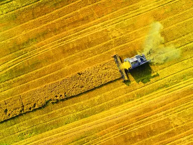 Aerial view of mechanised crop harvesting in an agricultural field, representing large-scale agrigenomics applications supported by genomic testing and validation workflows.