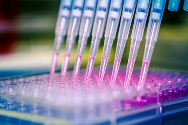 Nucleic Acid Research