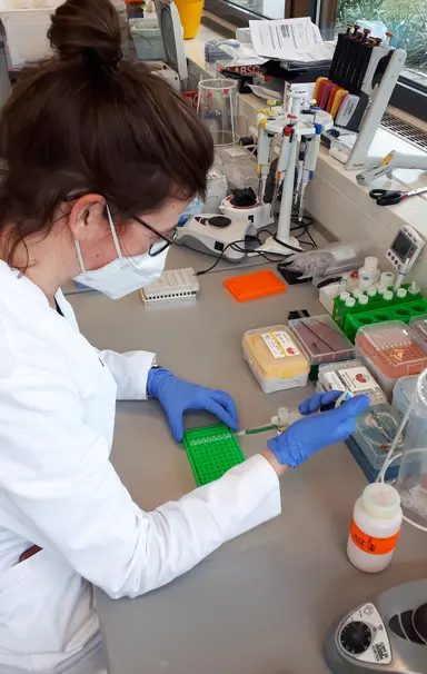 Supporting sequence-specific detection, multiplex analysis and target discrimination.