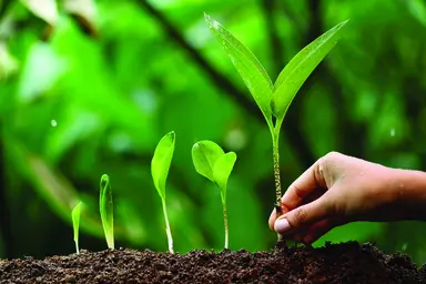 Supporting high-throughput targeted genotyping for breeding programmes.