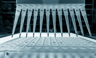 Automated liquid handling system dispensing samples into a microplate, representing calibration verification, assay performance assessment and quality-controlled laboratory testing.