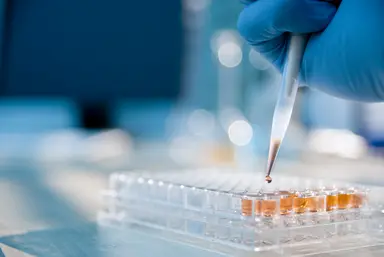 Sample Processing