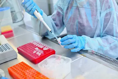 Laboratory technician preparing samples using a pipette and microplate.