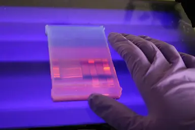 DNA gel electrophoresis analysis in a molecular biology laboratory, supporting DNA quality assessment and sequencing workflow preparation.