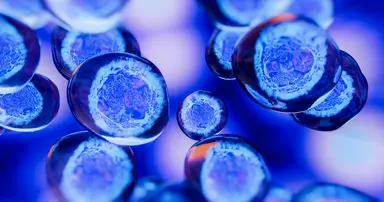 Abstract illustration of biological cells representing disease state materials, biomarker research and diagnostic assay development.