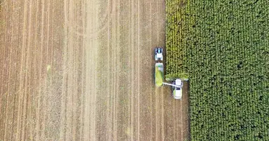 Aerial view of agricultural harvesting operations demonstrating scalable crop production workflows.