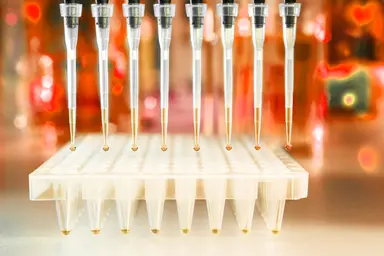 Automated liquid handling workflow dispensing samples into a multiwell plate for molecular biology and library construction applications.
