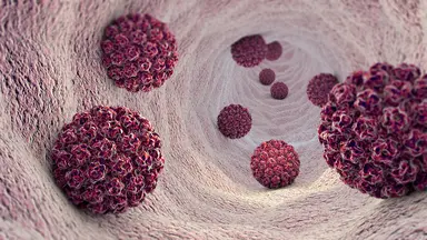 Digital rendering of virus-like particles (VLPs) displaying viral surface structures, illustrating their use in vaccine and diagnostic research.