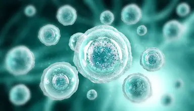 Scientific illustration representing custom competent cells for molecular biology, diagnostic and pharmaceutical development applications.