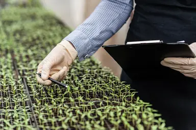 Supporting rapid detection of crop diseases and plant health threats.
