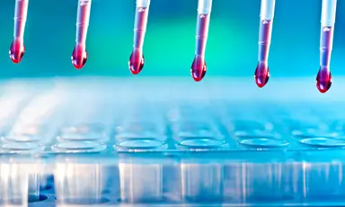 From sample preparation to sequencing and variant analysis.