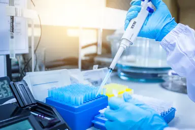 Delivering DNA extraction, genotyping and next-generation sequencing solutions that generate actionable insights for agricultural biotechnology and commercial breeding programmes.