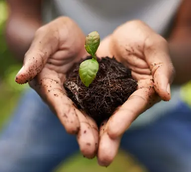 Supporting breeding programmes with advanced genomic solutions.