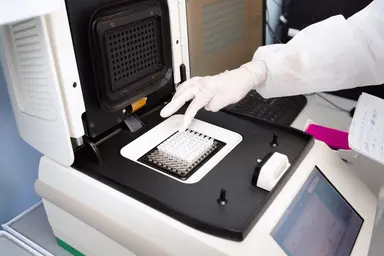Interpreting amplification curves and improving qPCR assay performance.