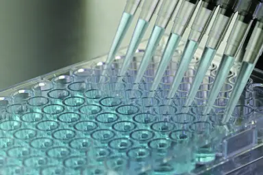 Generating genotypic information through sequencing and marker discovery.