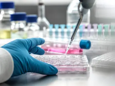 Close-up of laboratory sample preparation, showing a pipette dispensing liquid into a multiwell plate as part of molecular biology and life science research workflows.