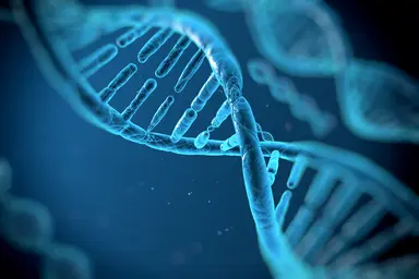 Supporting gene expression analysis, assay development and routine nucleic acid quantification.