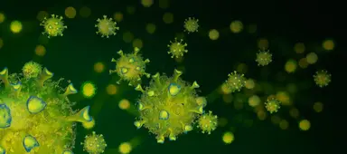 Virus-like particles representing biological reagents and diagnostic research