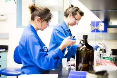 Laboratory team preparing and testing samples in a clinical laboratory.