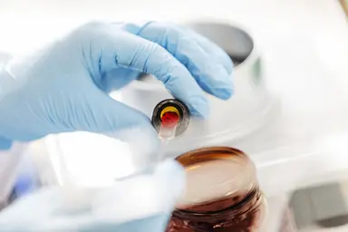 Laboratory professional handling a sample container and test strip during analytical testing, representing quality control procedures, sample verification and reliable laboratory performance.