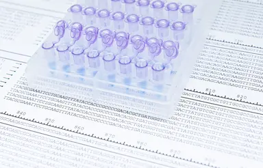 PCR tubes positioned on DNA sequence data representing software-guided primer and probe design for PCR and qPCR assay development.