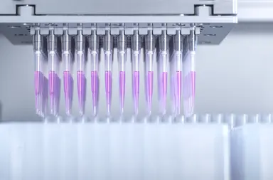 Laboratory Workflow Automation