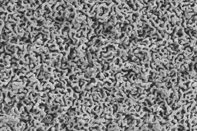 Microscopic view of the porous structure of controlled pore glass (CPG), a solid support material used in oligonucleotide synthesis to enhance efficiency, reproducibility and product purity.