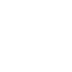 Steam