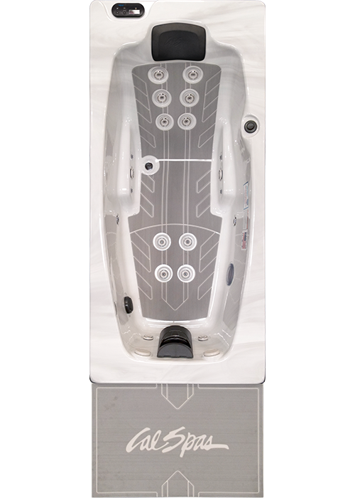 Platinum Cold Plunge Spa
