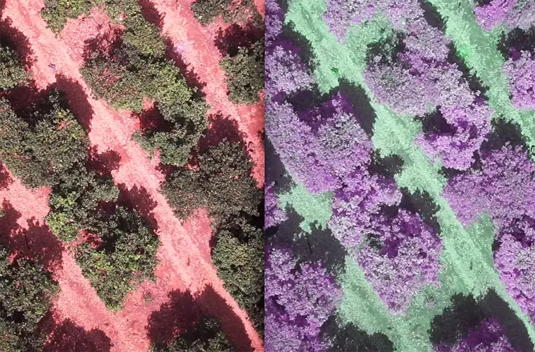 multispectral-imaging-1