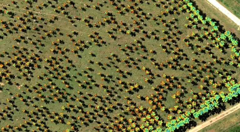 Agrowing RedEdge P | DeltaQuad Evo | Multispectral drone output counting crops