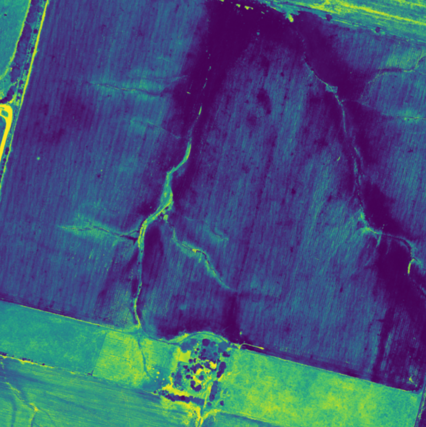 Irrigation and soil management