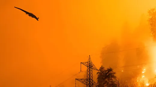 Environmental  & Humanitarian
