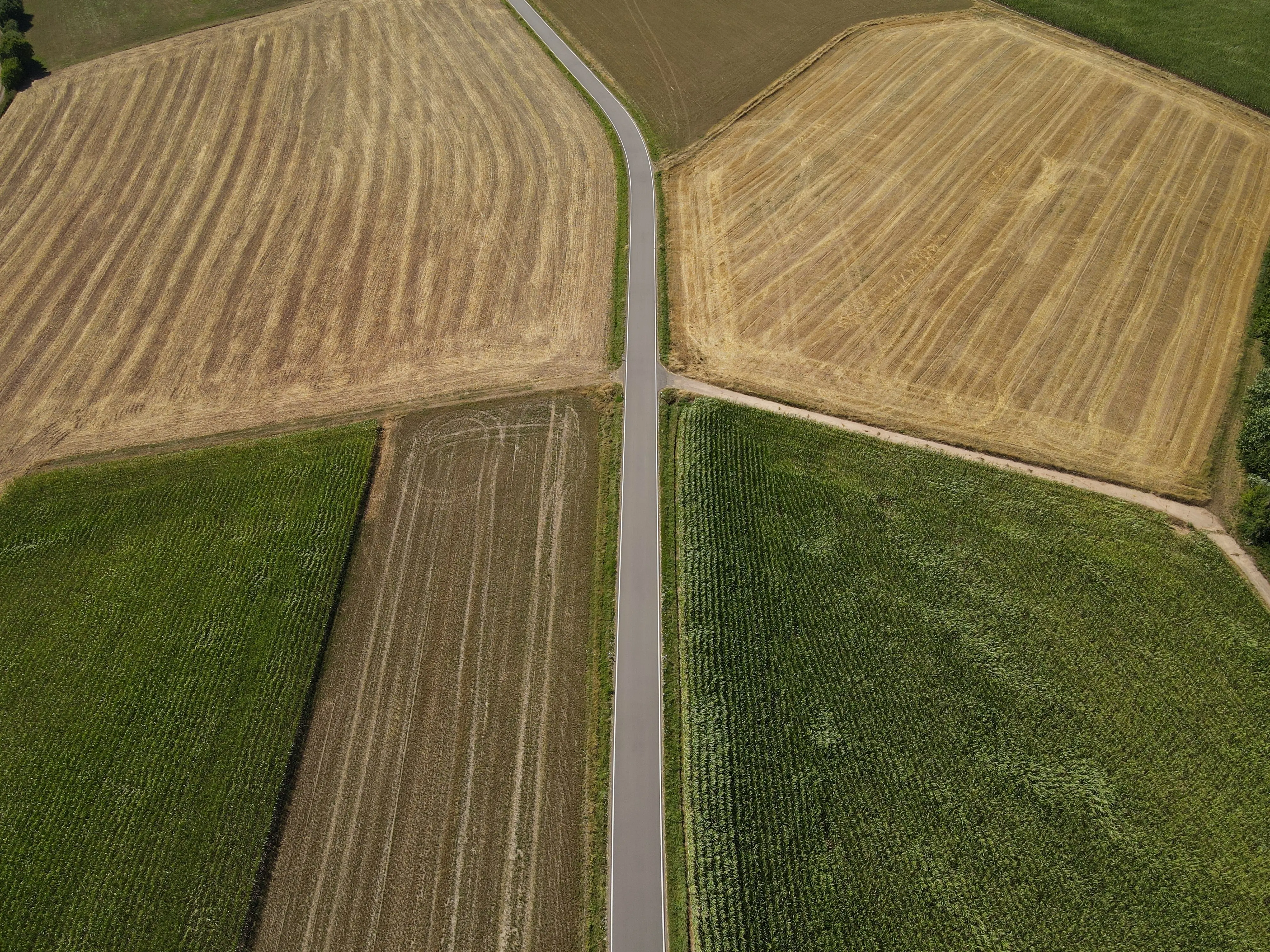 Crop scouting and yield estimation