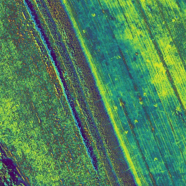 Vegetation mapping